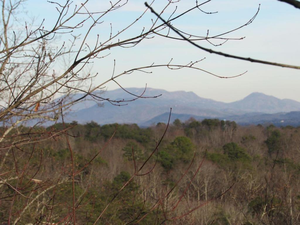 View! Cozy, Private, Fireplace, Hot Tub Log Cabin, Honeymoon! Sevierville Eksteriør billede