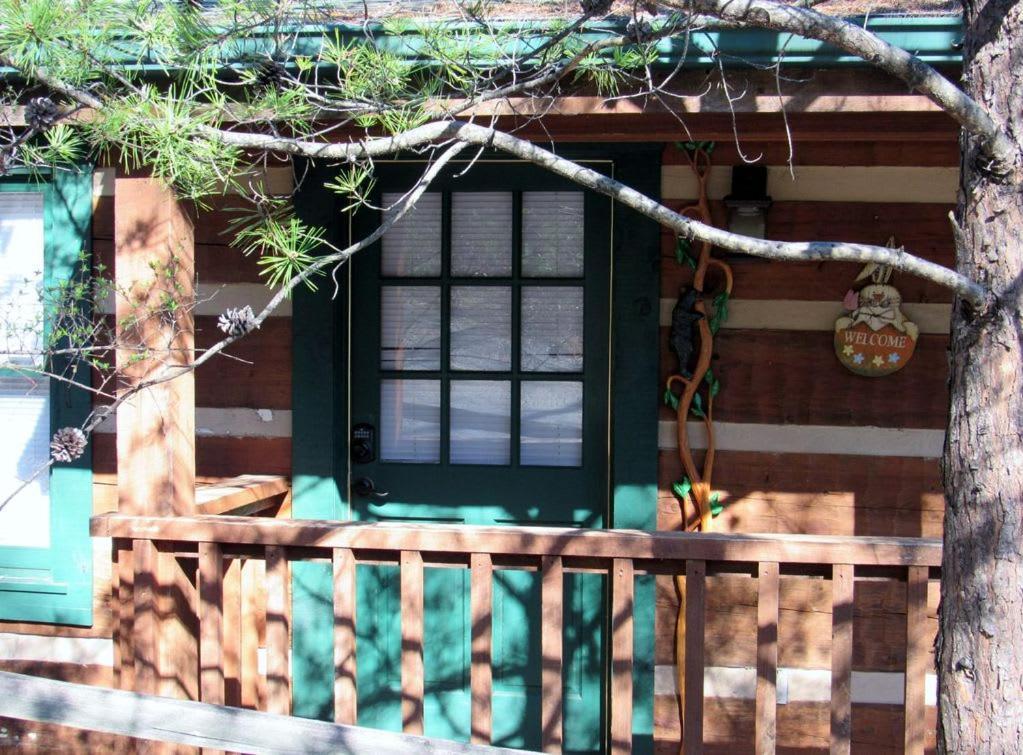 View! Cozy, Private, Fireplace, Hot Tub Log Cabin, Honeymoon! Sevierville Eksteriør billede